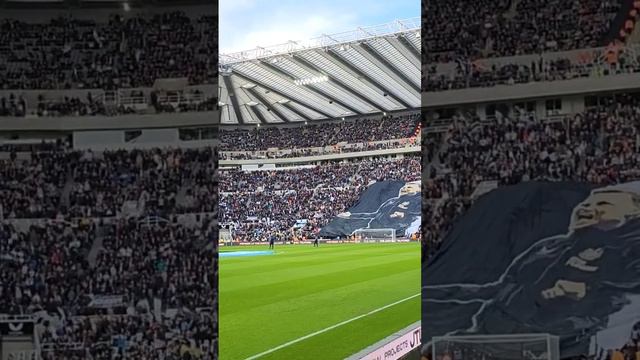 🏟 Eddie Howe's Black and White Army! Newcastle v Fulham