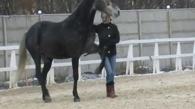 13.12.2009.wmv смотреть онлайн