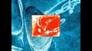 Dire Straits - Heavy Fuel