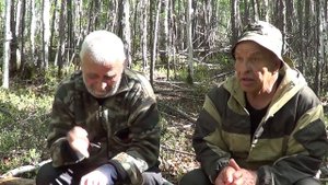 Рассказы о медведях, встречи с медведем, нападения медведя Часть 1