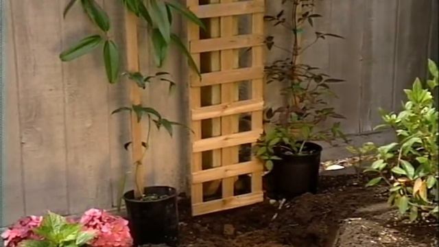 Gardening in America - June complete show #4 смотреть онлайн