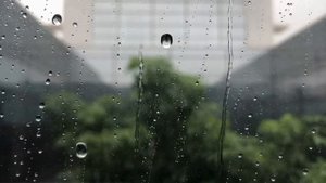 Шатун. История вторая. Сон в зимнюю ночь