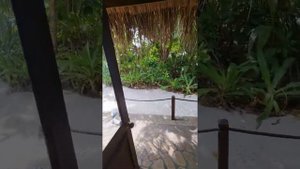 Coco palm dhuni kolhu room deluxe villa . Super
