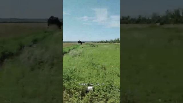 Вот такой он контрнаступ ВСУ ?