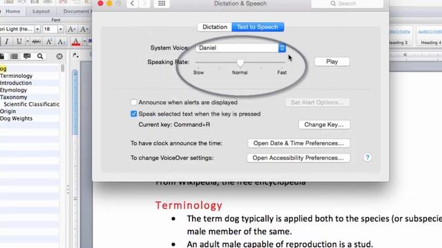 Using Text-to-Speech with Accessible Word Doc on Mac смотреть онлайн
