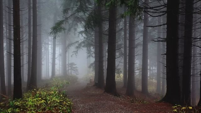 ТАЙНЫ ПУТЕШЕСТВИЯ ВО ВРЕМЕНИ! - Страшные истории | Мистика- Путешествие во времени