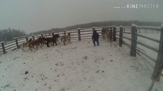 Убаьа 2018