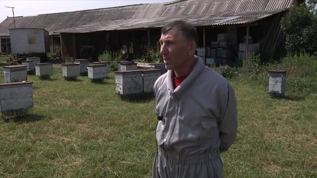 Выпуск 3. Пчеловод - Кисилев Владимир Николаевич смотреть онлайн