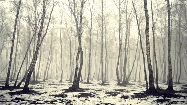 "Дзе мой край..."  Вл. Короткевича . Шарманщик из Минска прочитал стихи под мелодию Д.Вайтюшкевича.
