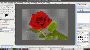 Уроки Гимп. Как сделать кисточку в Gimp: не думала, что это так просто