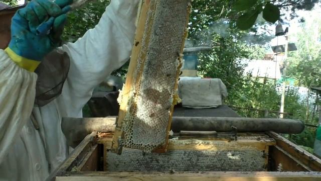 Четвертые магазины сработали на отлично смотреть онлайн