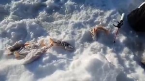 Рыбалка на реке Пышма часть 3