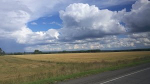 Вот и закончилось лето! За окном уже осенние пейзажи