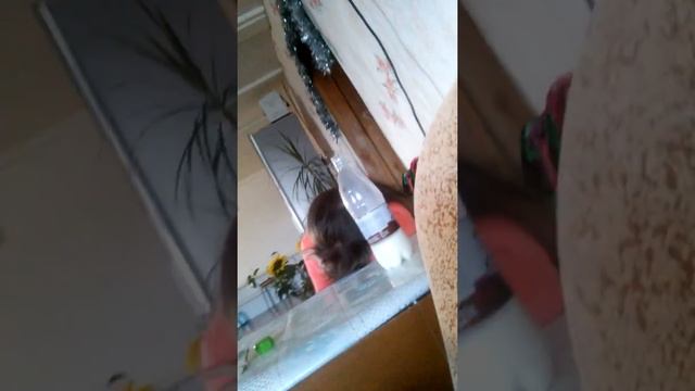 Пролила молоко! Ахах смотреть онлайн