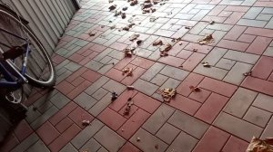 ХАДО в МКПП КИА РИО 3, МОЙ ОТЗЫВ