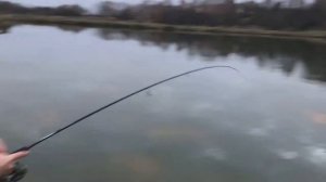 Ловля форели на платнике. Рыбхоз НЕПРЕЙКА, Тула. Осень 2017.