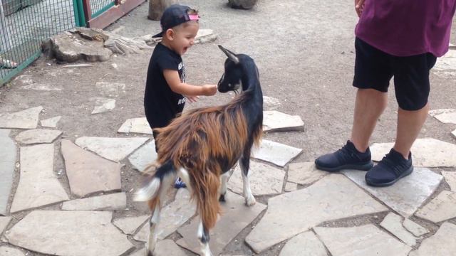 Милейшая улыбка!Детское видео. Зоопарк, знакомство с домашними животными ) смотреть онлайн