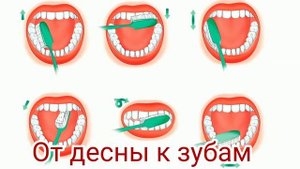 Как правильно чистить зубы?
