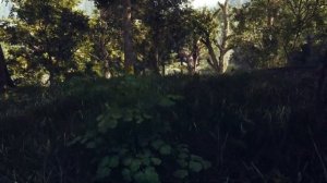 Remastering SKYRIM FOREST | 2024 - NOLVUS V6 AWAKENING ULTIMATE Mod List - DLAA - COMPLEX PARALLAX