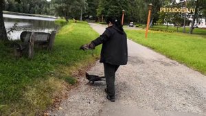 Ручной ворон ведёт себя на прогулке, как щенок