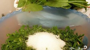 Пирог со щавелем