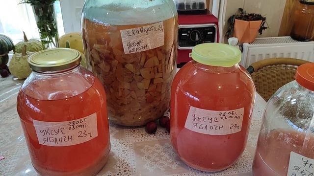 Яблочный уксус. Уксусная матка. смотреть онлайн