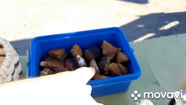 Пропал нижний ряд на кпп 9js135a.Выгрука в Красноярске,погрузка на Ачинск. смотреть онлайн