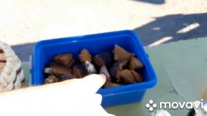 Пропал нижний ряд на кпп 9js135a.Выгрука в Красноярске,погрузка на Ачинск.