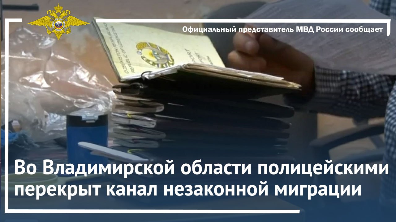 Во Владимирской области полицейскими перекрыт канал незаконной миграции
