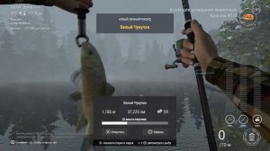 БЕЛЫЙ ЧУКУЧАН | ОЗЕРО РОККИ | FISHING PLANET