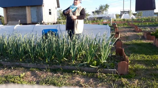 "Сияние 1" : применение