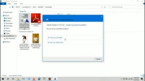 Setup Has Detected That You Already Have a More Functional Product Installed Adobe Reader [SOLVED]