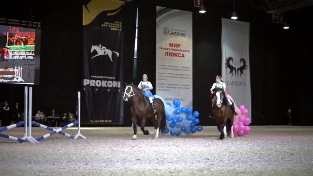 V Чемпионат лошадей Владимирской породы. Эквирос 2019 смотреть онлайн