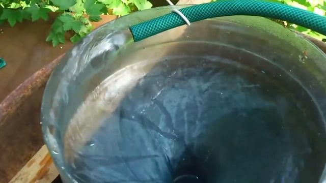 Структуирование воды смотреть онлайн