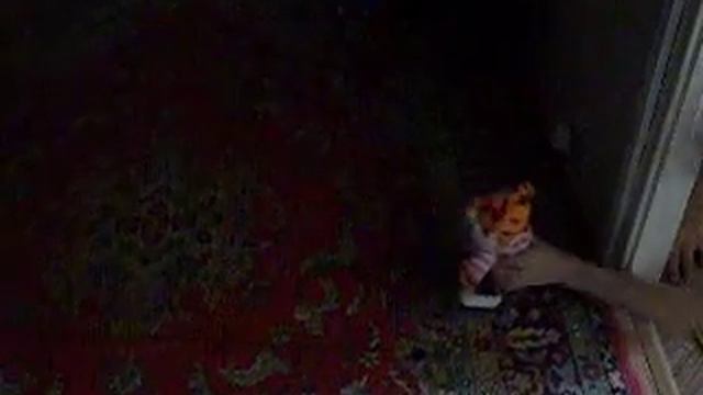 Самая лучшая в мире собака-ГАЙКА!!!!! смотреть онлайн