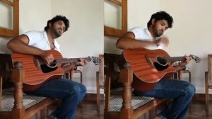 Last Of Us Part 2 | Through the valley | Shawn james - Instrumental cover | Vishwa gopallawa