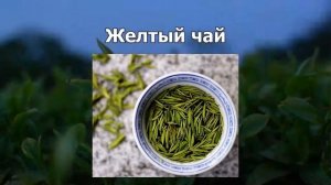 Классификация чая и его полезные свойства
