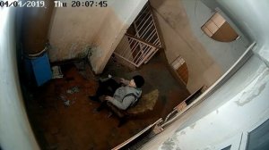 Шок. г.Шарыпово.Видеонаблюдение в подъезде.