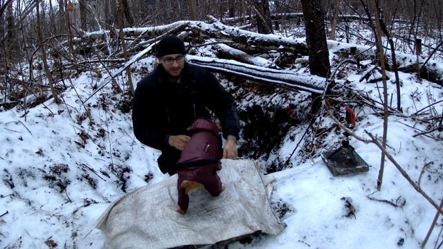 Собачья  одежда с валдберис - как я первый раз одевал щенка Нику