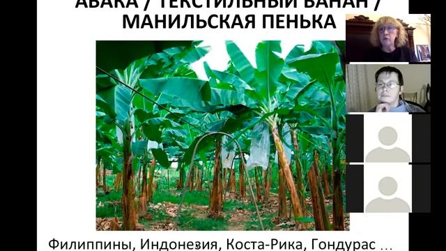 Материаловедение. Натуральные волокна, Растительные лубяные