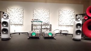 13 Dan D'Agostino Relentless Monoblock + B&W 800