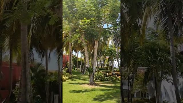 Прогулка с ресепшен до пляжа,отель Gran Dominicus Dominicus смотреть онлайн