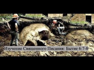 Изучение Священного Писания (Ветхий Завет): детальный разбор книги Бытия, глава 6, стихи 7 и 8.