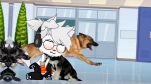 школа собак [ Гача ]