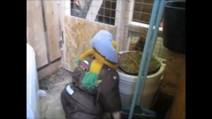 Обезьяна в деревне - помощник в хозяйстве