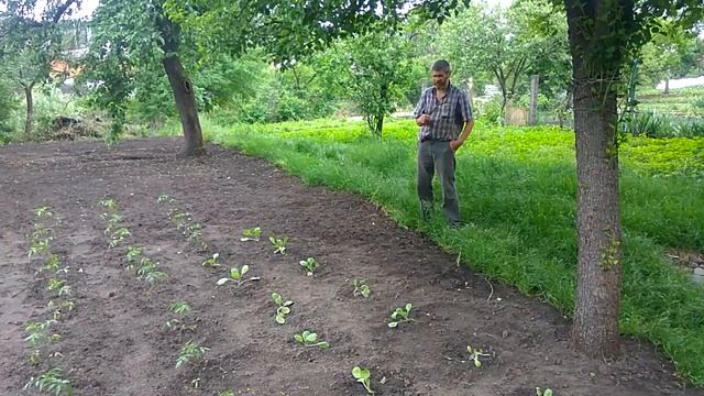 Агроном в деле смотреть онлайн