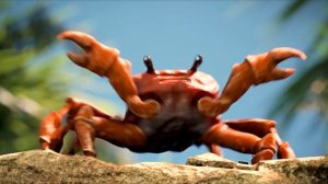 Noisestorm - Crab Rave - 21:9 Ultrawide version