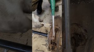 задние тормозные щитки toyota land cruiser 200