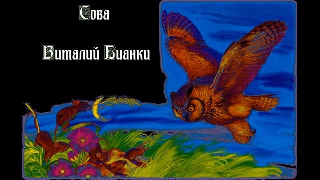 Сова — Виталий Бианки — читает Павел Беседин смотреть онлайн