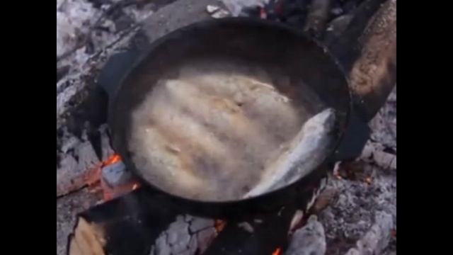 Рыбные вкусняшки Елец жаренный в манке смотреть онлайн